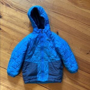 Patagonia Bright Blue Jacket
